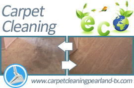 Carpet Cleaning